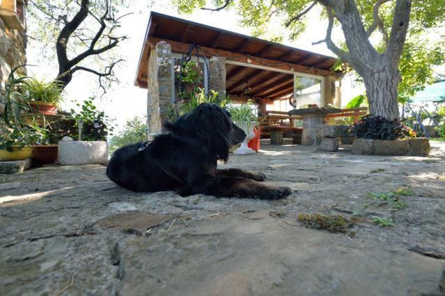 Affittacamere Cozy Istrian House Izola Esterno foto