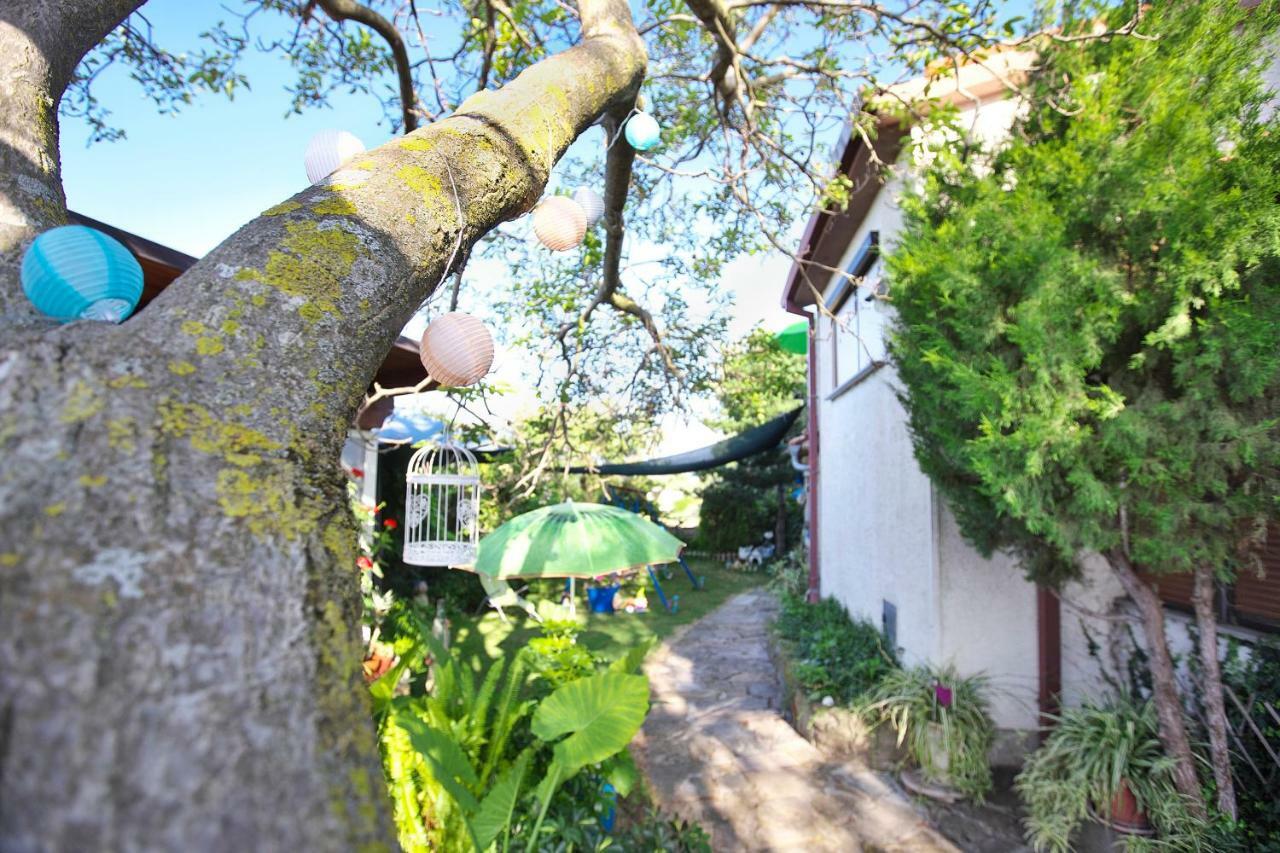 Affittacamere Cozy Istrian House Izola Esterno foto