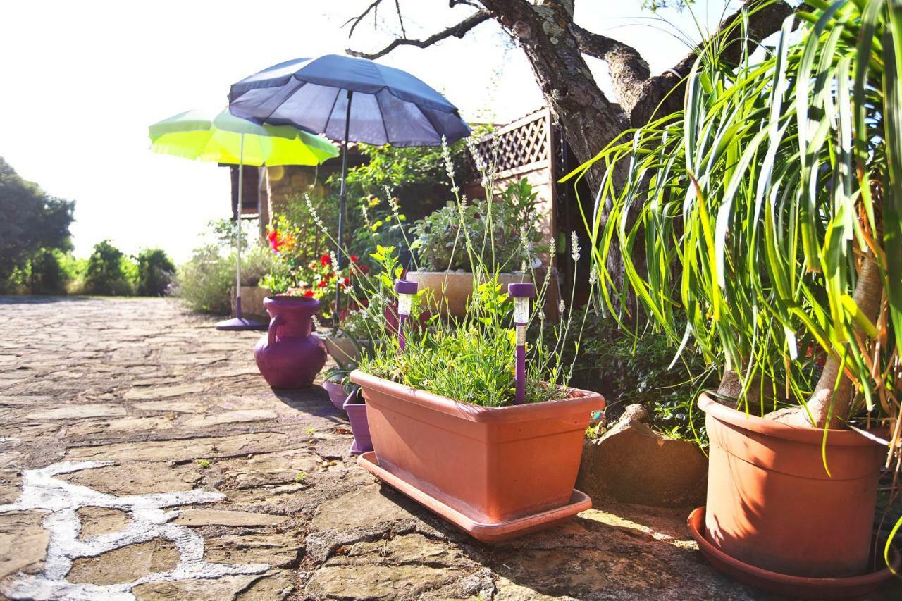 Affittacamere Cozy Istrian House Izola Esterno foto